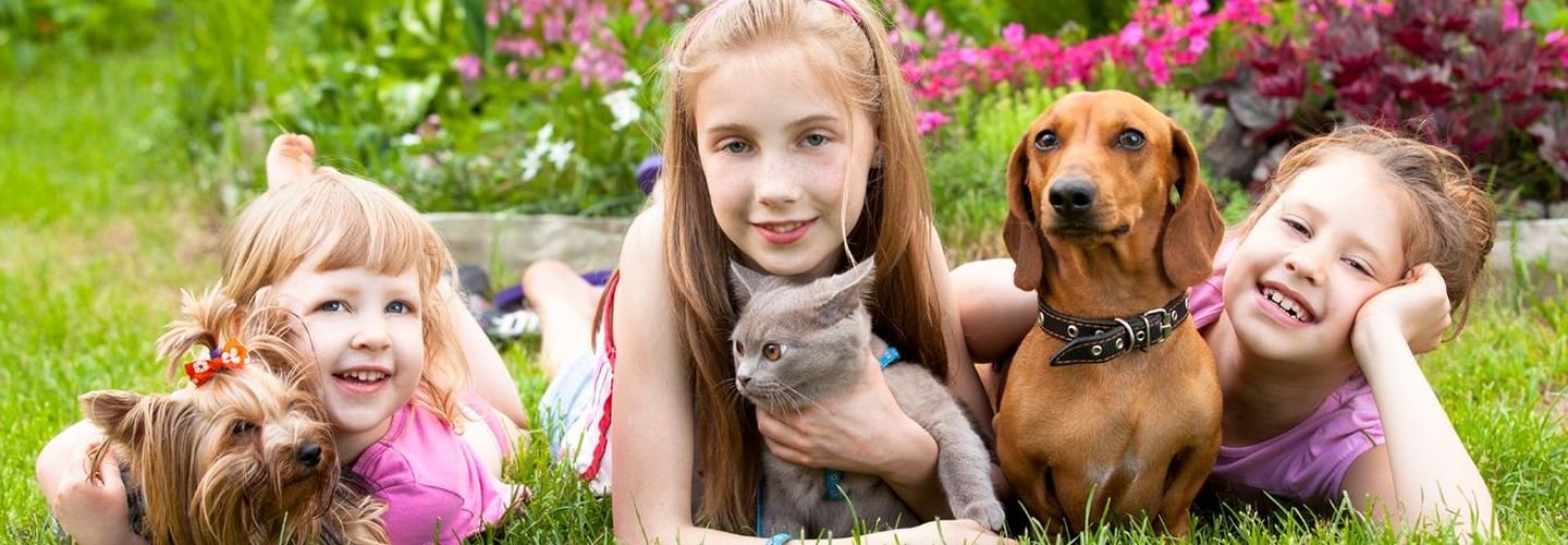 Niñas acompañadas de un perro y un gato en un jardín