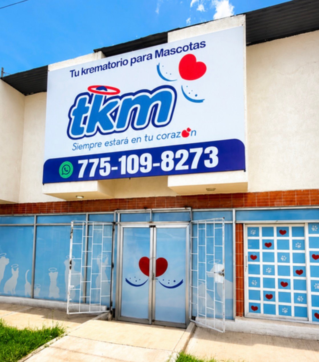 Entrada de TKM
